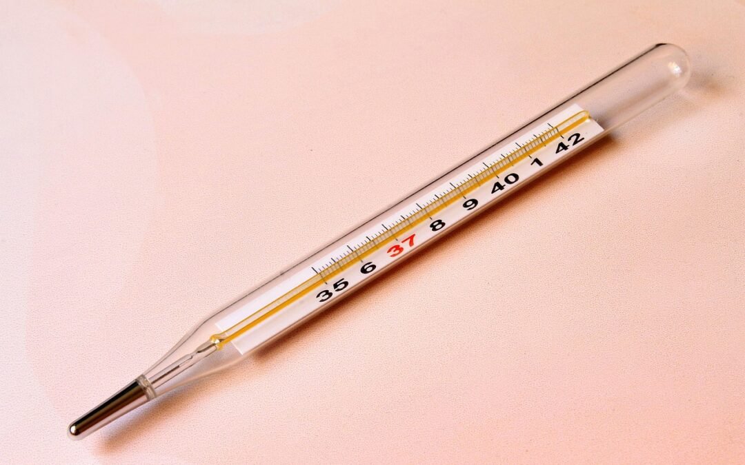 Hoe je basale lichaamstemperatuur je inzicht geeft in je cyclus en vruchtbaarheid